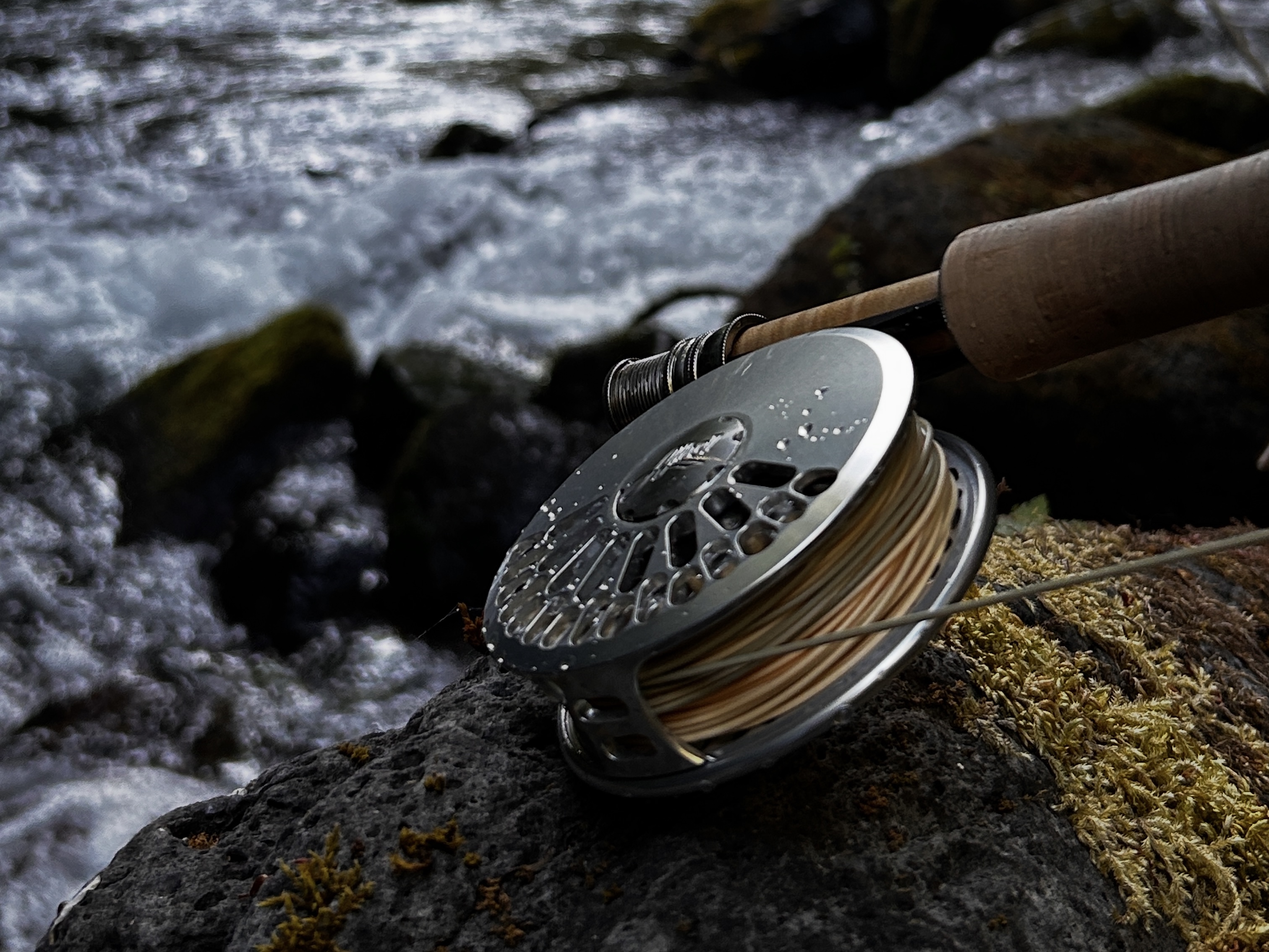 Fly reel on river rock