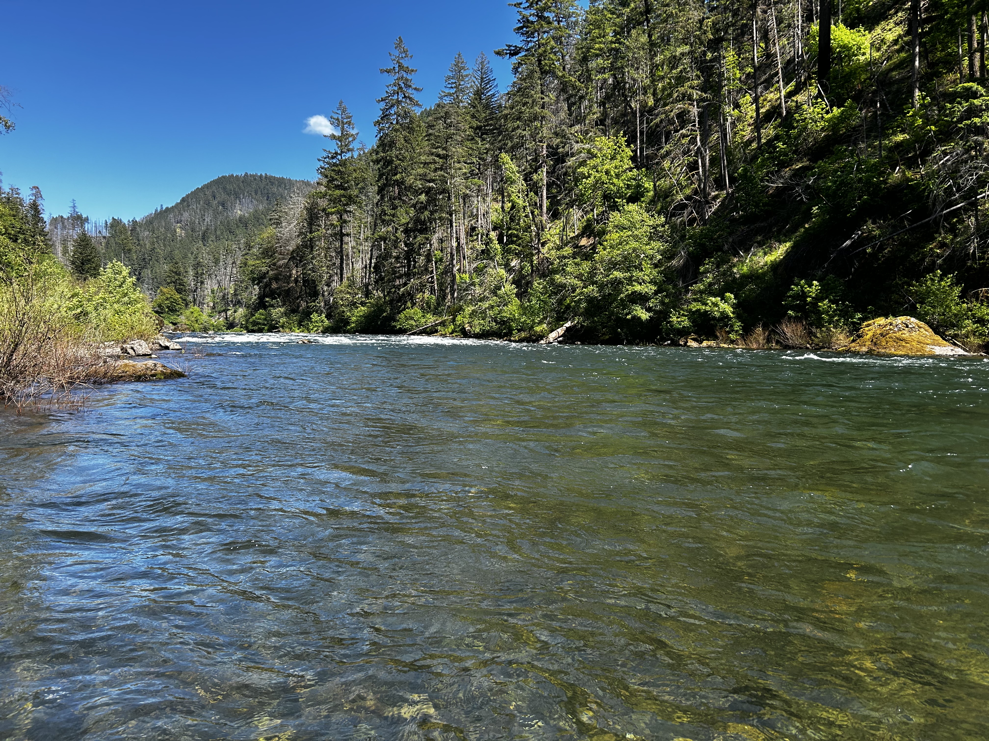 Clear mountain river
